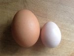 Food Egg Wood Egg Staple food